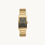 OLIVE GOLD